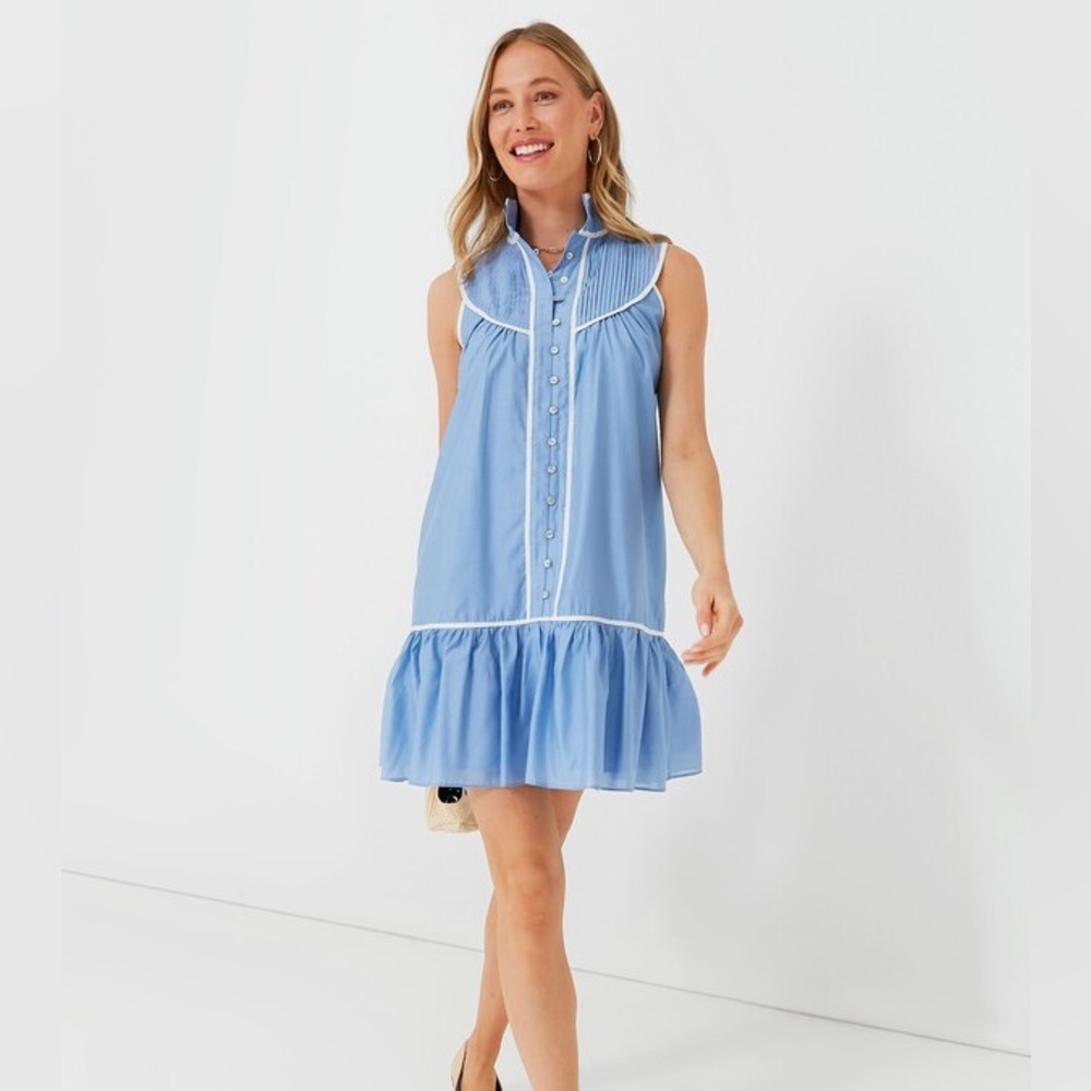 Tuckernuck Pomander Place Blue Sleeveless Beatrix Dress Size Large